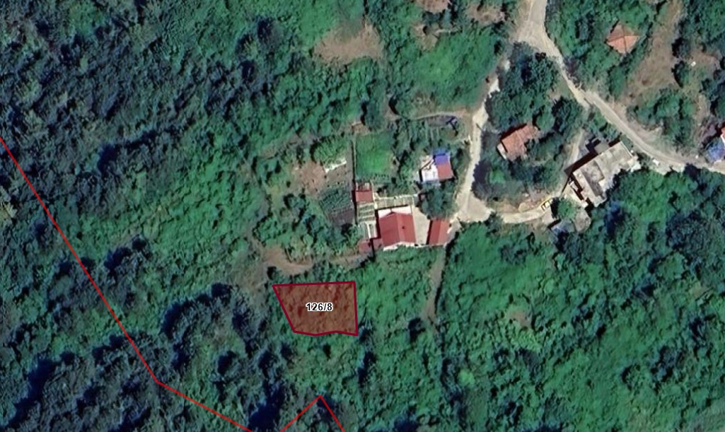 İlan Fotoğrafı